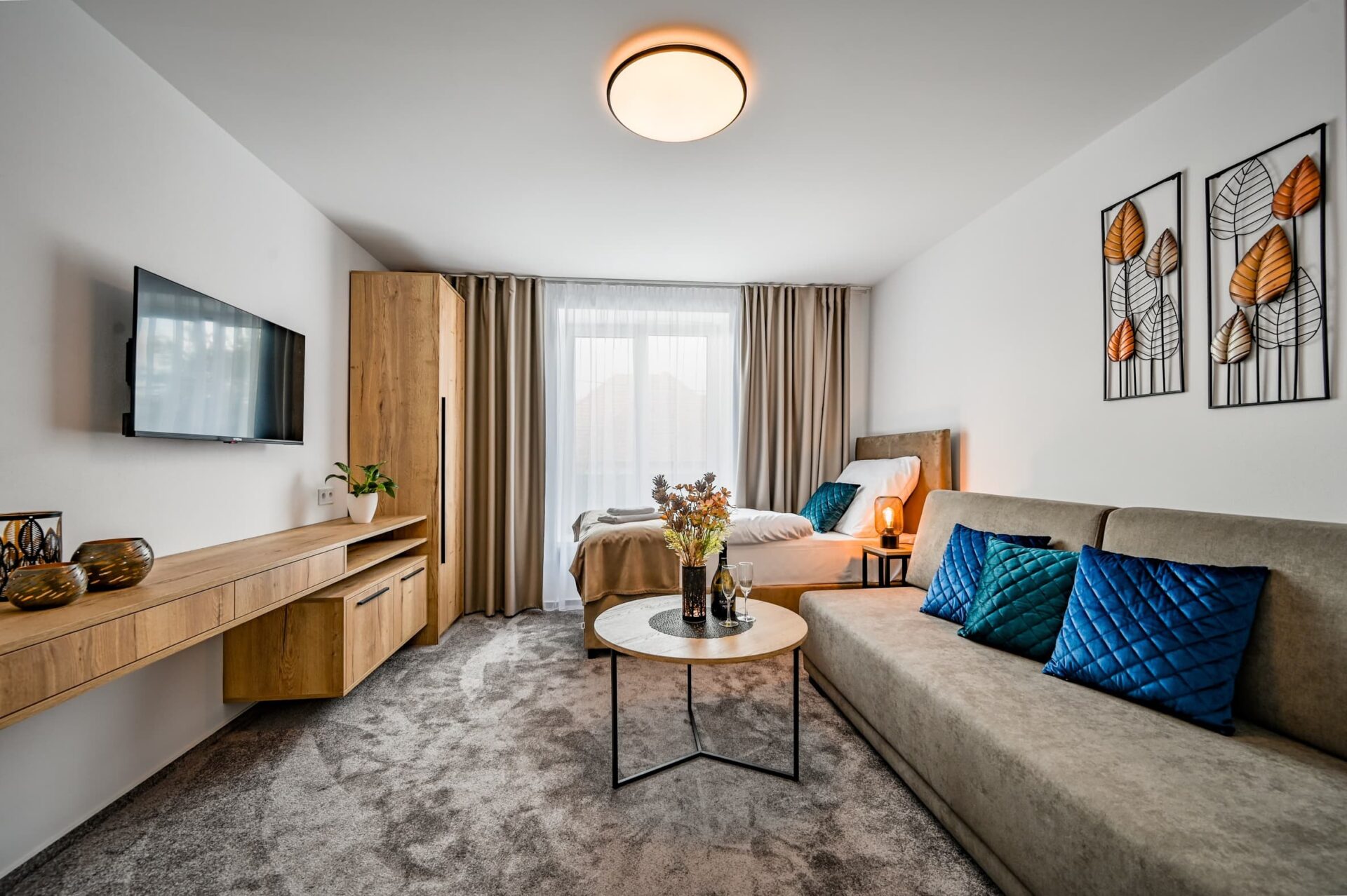 Apartmán De luxe s kuchyňou-201-11