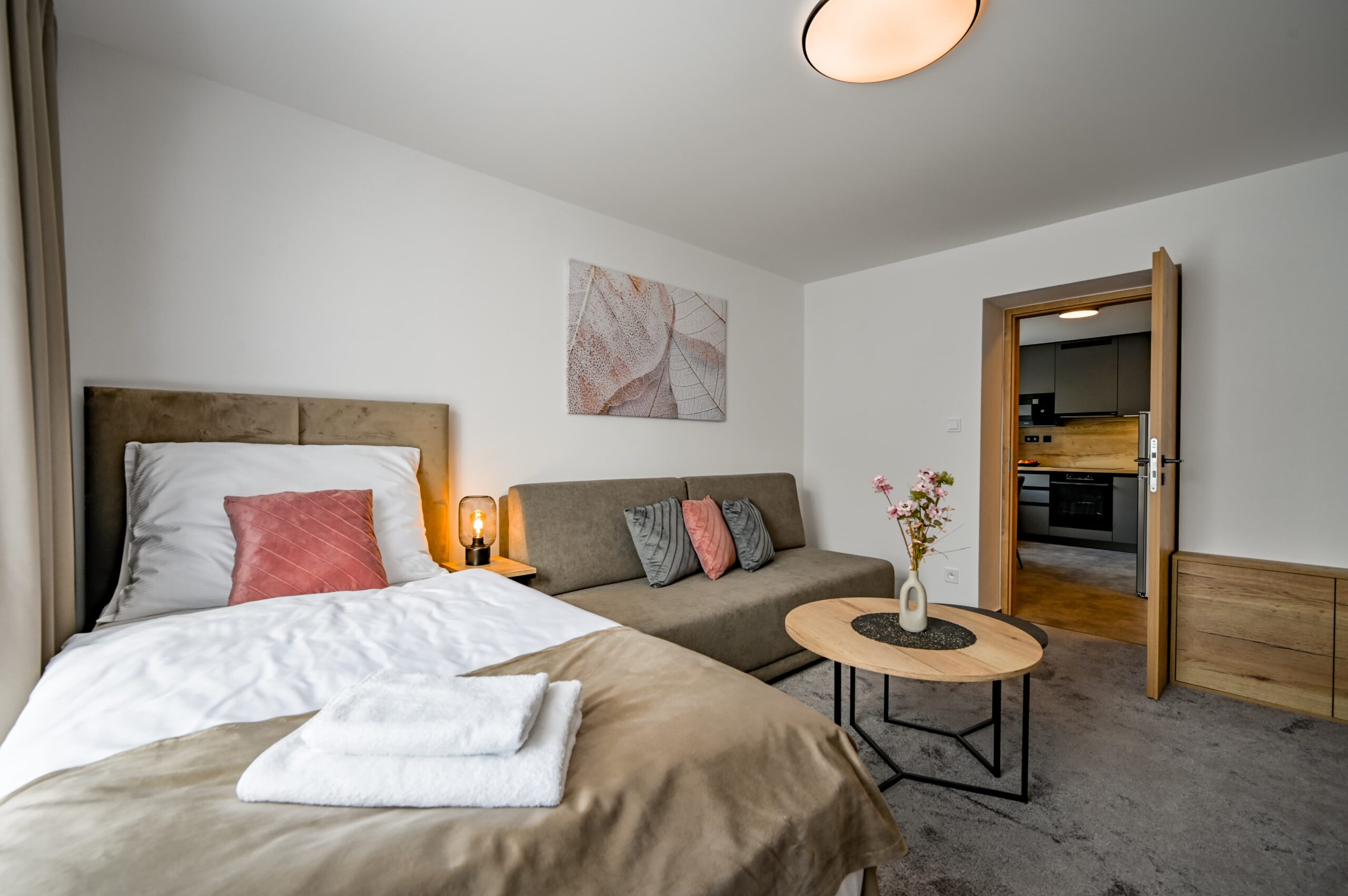 Apartmán De luxe s kuchyňou-101-16